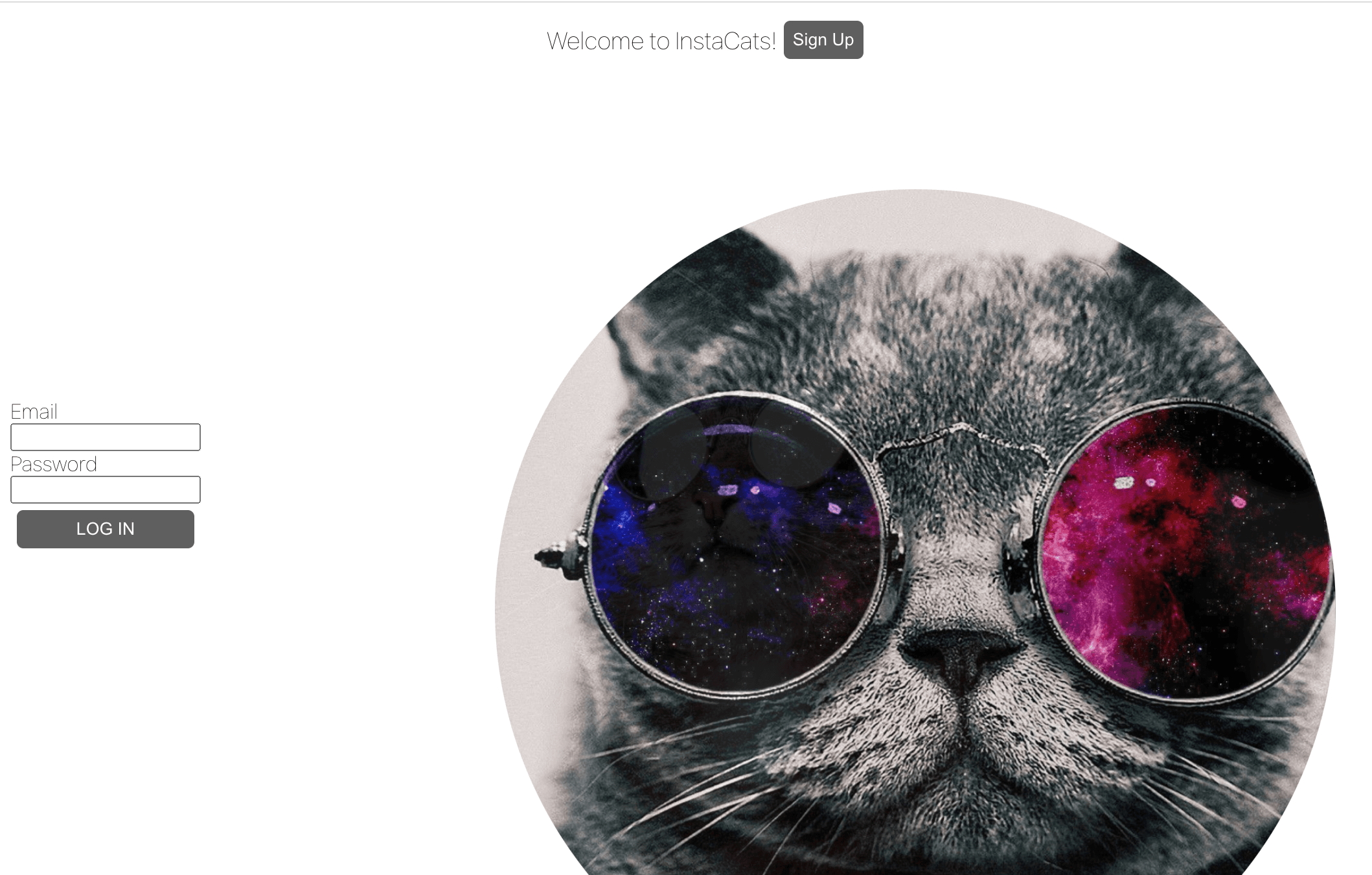 Instacats